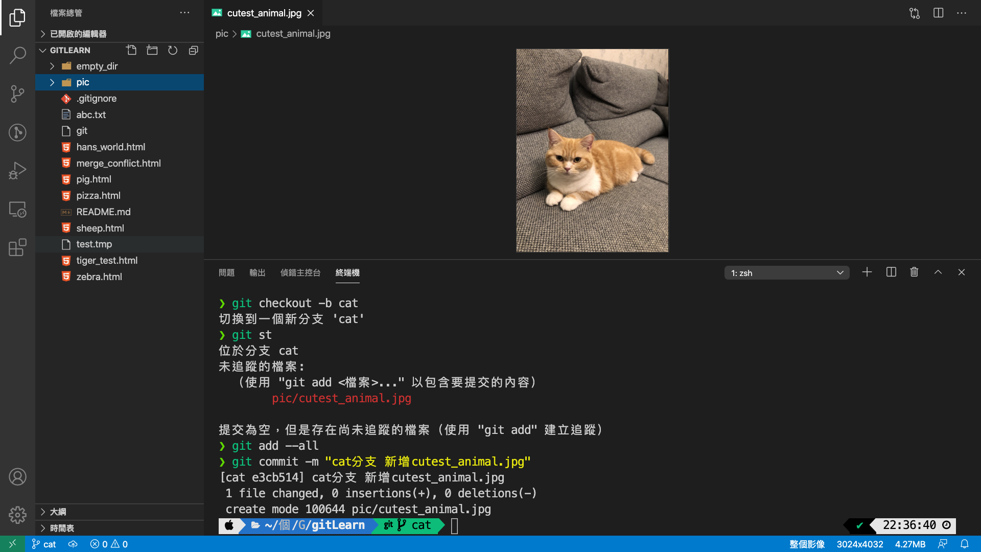 新增一個cat分支,且新增一個cutest_animal的圖片檔案(內容為貓)