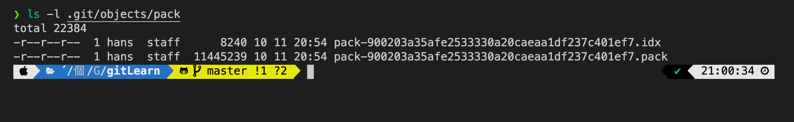 git gc後打包的物件會儲存在 .git/objects/pack