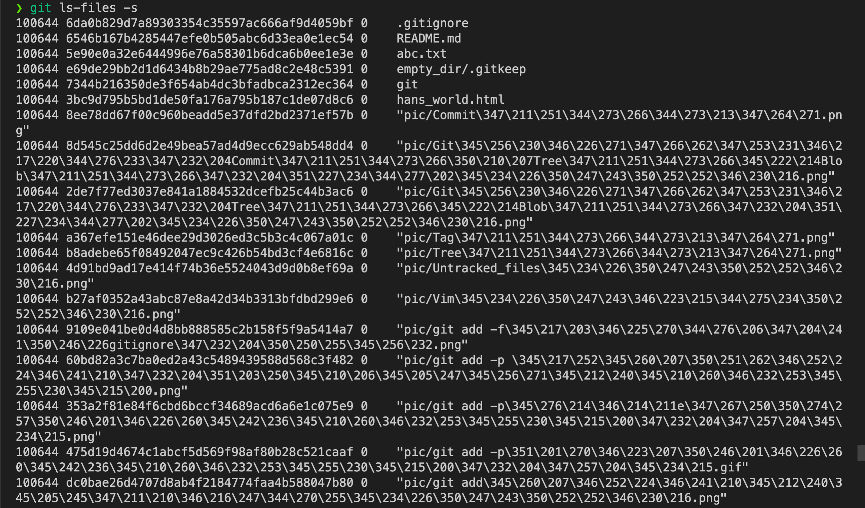 git ls-files 顯示暫存區或是工作目錄中的檔案資訊