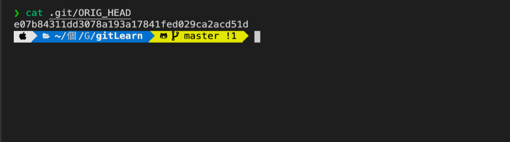 git reset ORIG_HEAD --hard 來回到危險操作以前的ORIG_HEAD指向的Commit物件的SHA-1值_統整