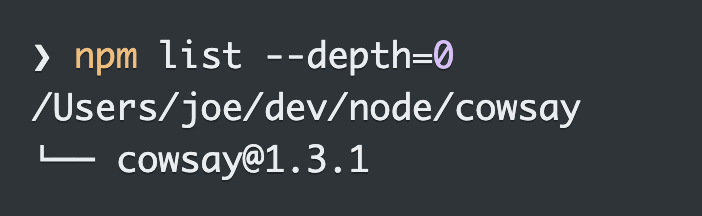 npm list --depth=0