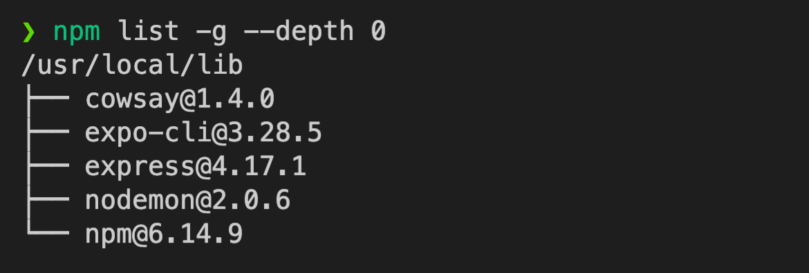 npm list -g --depth 0